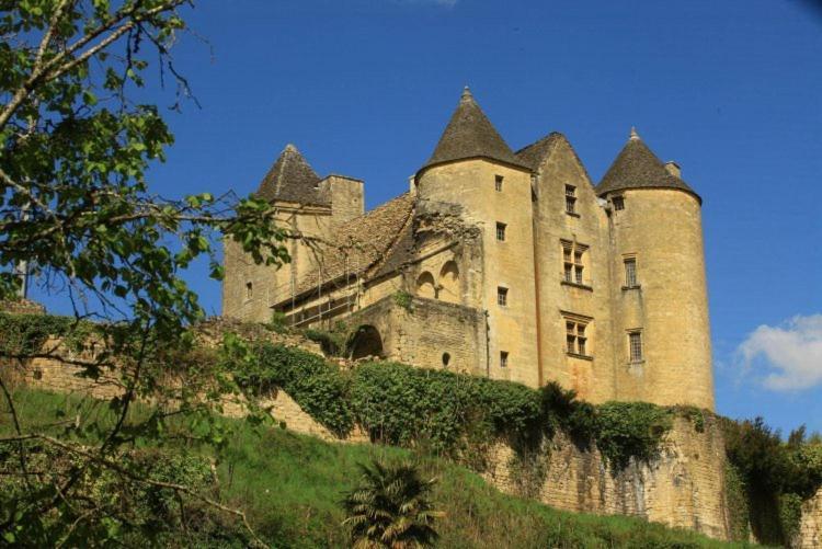 Petite Maison En Pierre Au Coeur Du Perigord Noir Salignac Eyvigues Exterior foto