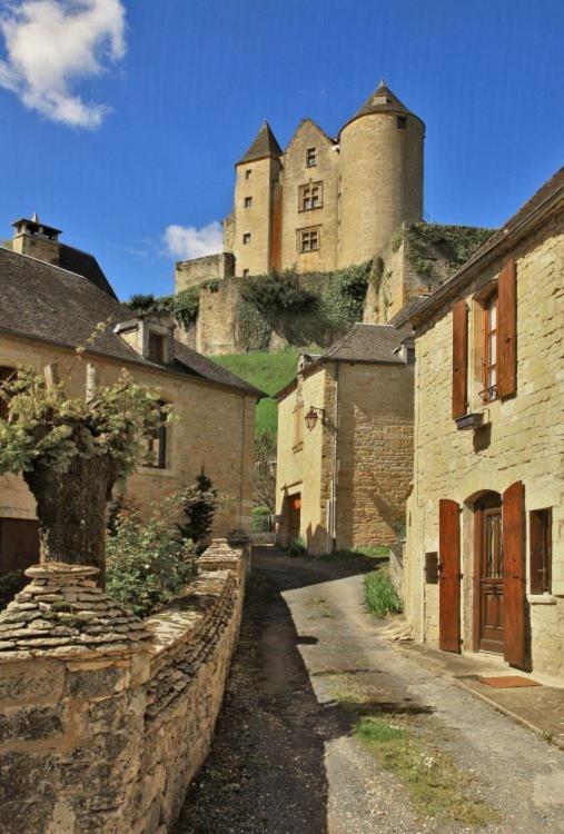 Petite Maison En Pierre Au Coeur Du Perigord Noir Salignac Eyvigues Exterior foto
